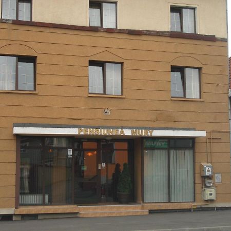 Pensiunea Mury Brașov Exterior foto