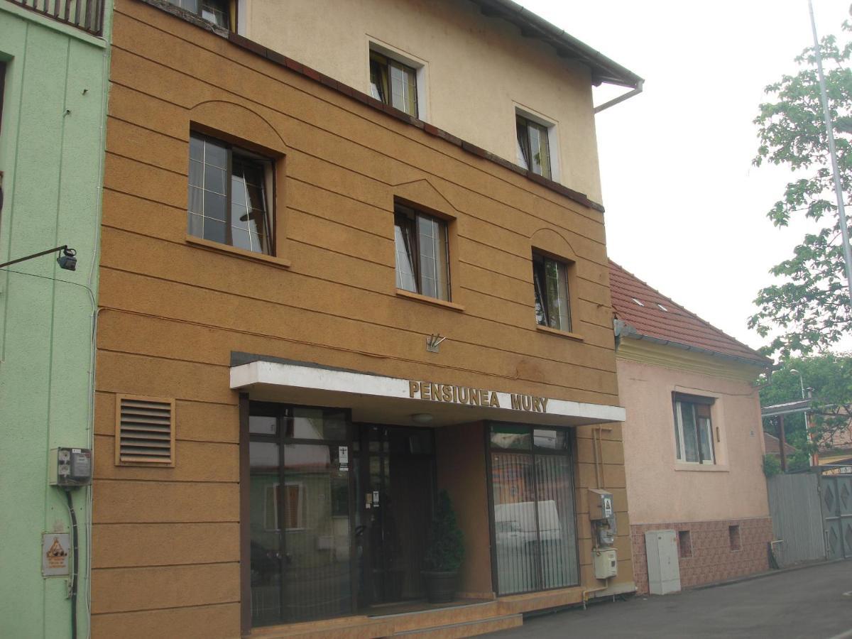 Pensiunea Mury Brașov Exterior foto